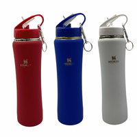 Garrafa Squeeze 600 ml Aço Inox Academia com Canudo Logo Stan.